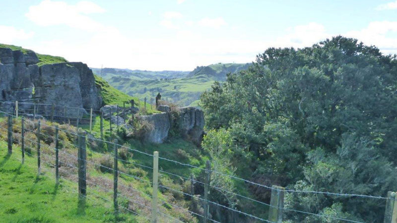 Gathering momentum in the battle against hill country erosion