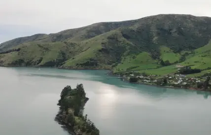 Planting the land to restore the health of te taiao