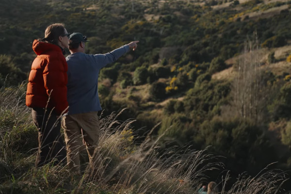 Regenerating native bush for future generations