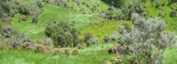 partnerships erosion