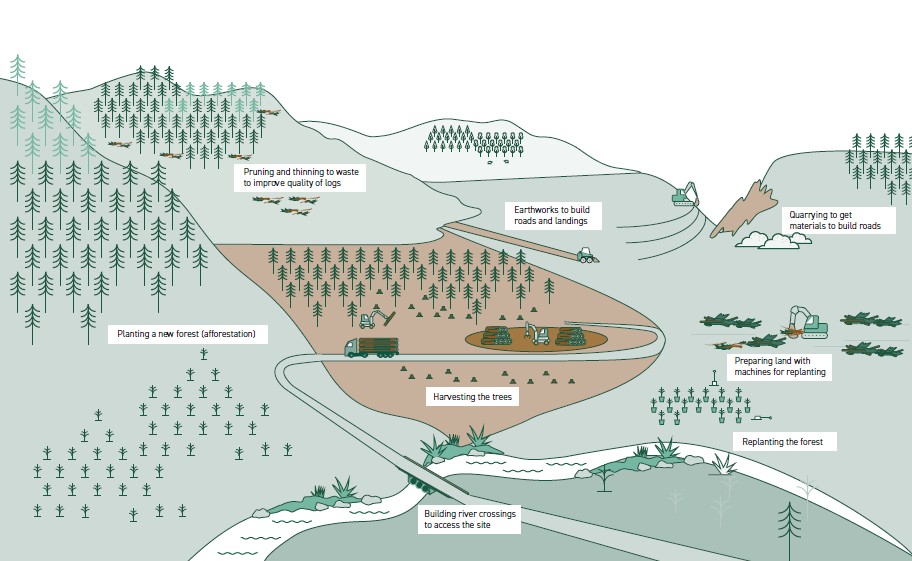 Forestry activities happening across a forestry site including, planting a new forest, pruning and thinning trees, earthworks to build roads, harvesting the trees, building river crossings for site access, quarrying to get materials for the site.