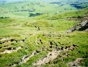 Grassy, hilly landscape with multiple slips of soil causing ridges in the land.