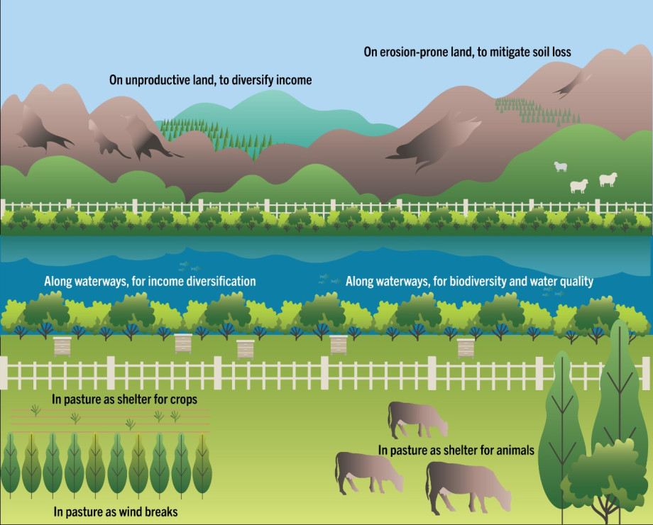 A landscape that includes fields, rivers and mountains to show the benefits of planting in each location.