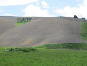 A grassy, sloping hill with a large section of soil covering most of the hill where the surface has eroded and become detached.