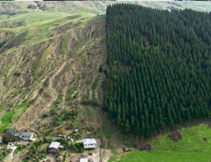 A large, steep grassy hill with multiple streaks of soil running down the hill, caused by landslides. 