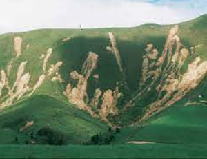 A large, steep grassy hill with multiple streaks of soil running down the hill, caused by landslides.